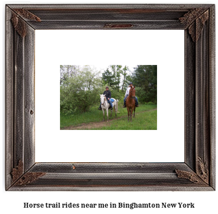 horse trail rides near me in Binghamton, New York